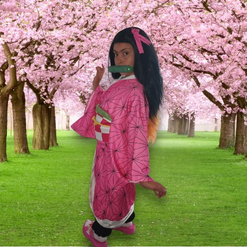 Cosplay Nezuko Kamado